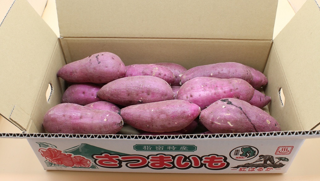 鹿児島県産さつま芋(紅はるか) Mサイズ20Kg｜さつまいもの商品詳細