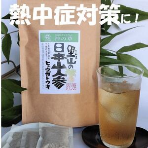 日本山人参(ヒュウガトウキ)お茶バック