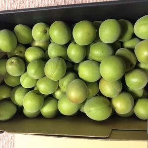 ‼️完売御礼‼️