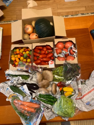 みんなの投稿の画像