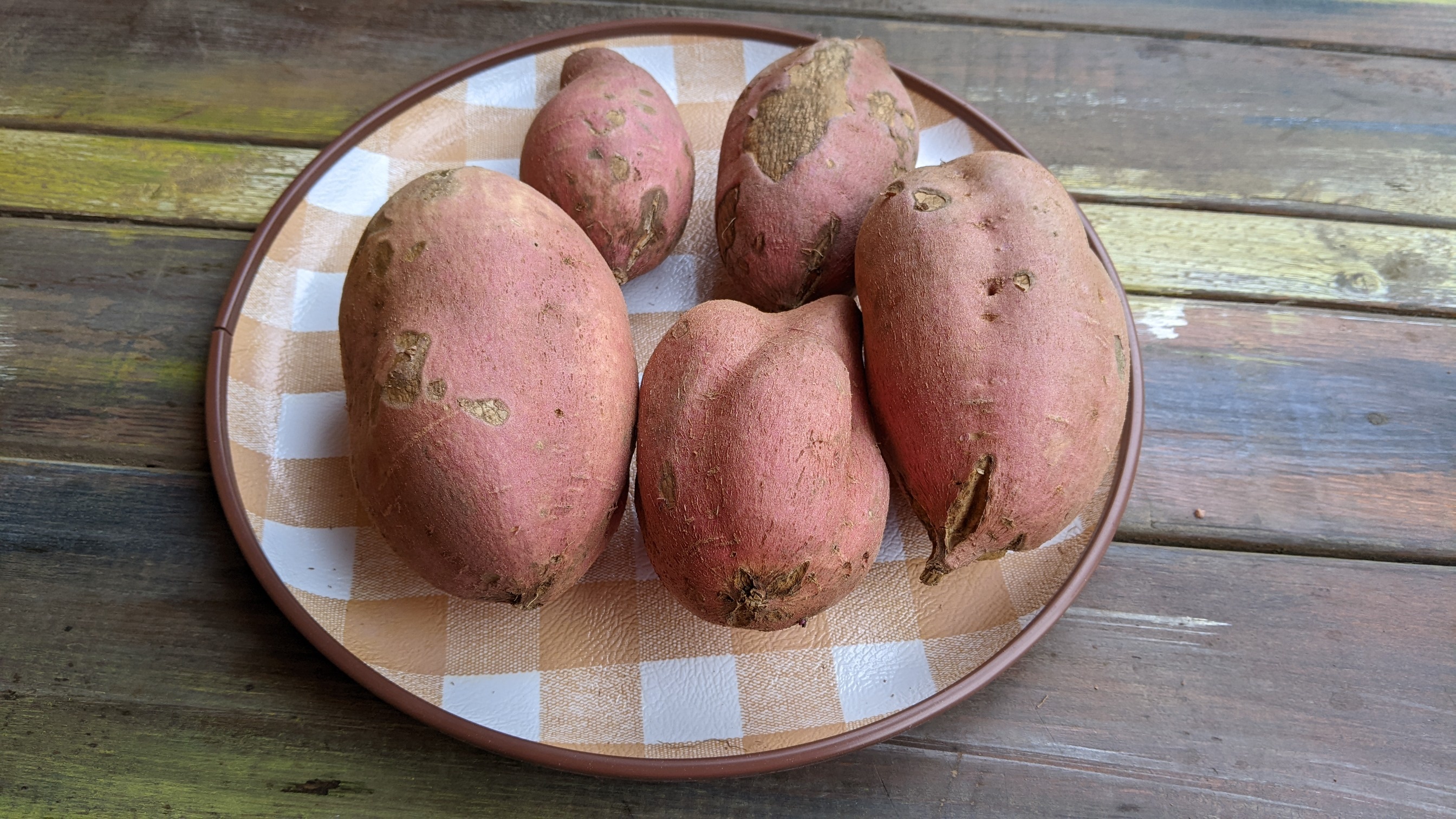 5kg税別1300円！栽培中農薬不使用。2ヶ月熟成、安納芋(B クラス品