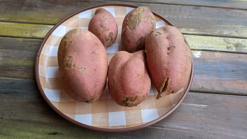 5kg税別2200円！2ヶ月熟成、焼けば密の滴る通称蜜芋と呼ばれる安納芋