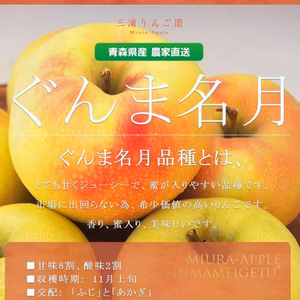 贈答用ぐんま名月