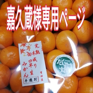 嘉久蔵様専用ページ!【地元で大人気！】味の特選 プロが選別した田口早生完熟みかん