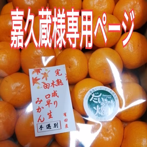 嘉久蔵様専用ページ!【地元で大人気！】味の特選 プロが選別した田口早生完熟みかん