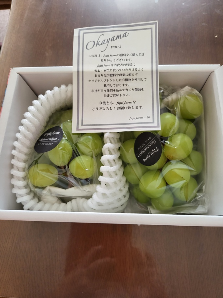 メーカー再生品 こだわり栽培 岡山白桃の若桃1.1kg
