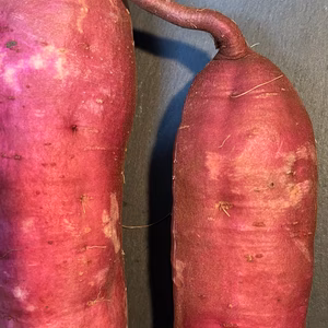 カラフルスイーツ紫芋