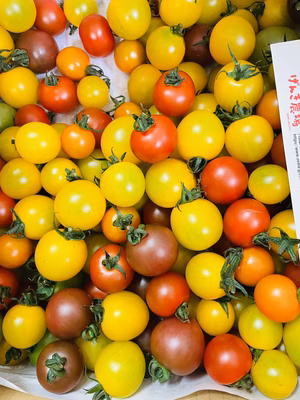 みんなの投稿の画像