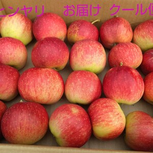 ひんやりお届け⛄　ジュースやジャム 加工用✨商品説明必読