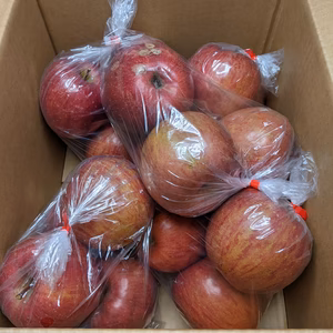 リンゴふじ加工原料4Lサイズ