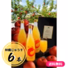 ≪1日1点限定≫【送料無料&半額】林檎じゅうす（ストレート100％果汁） 6本