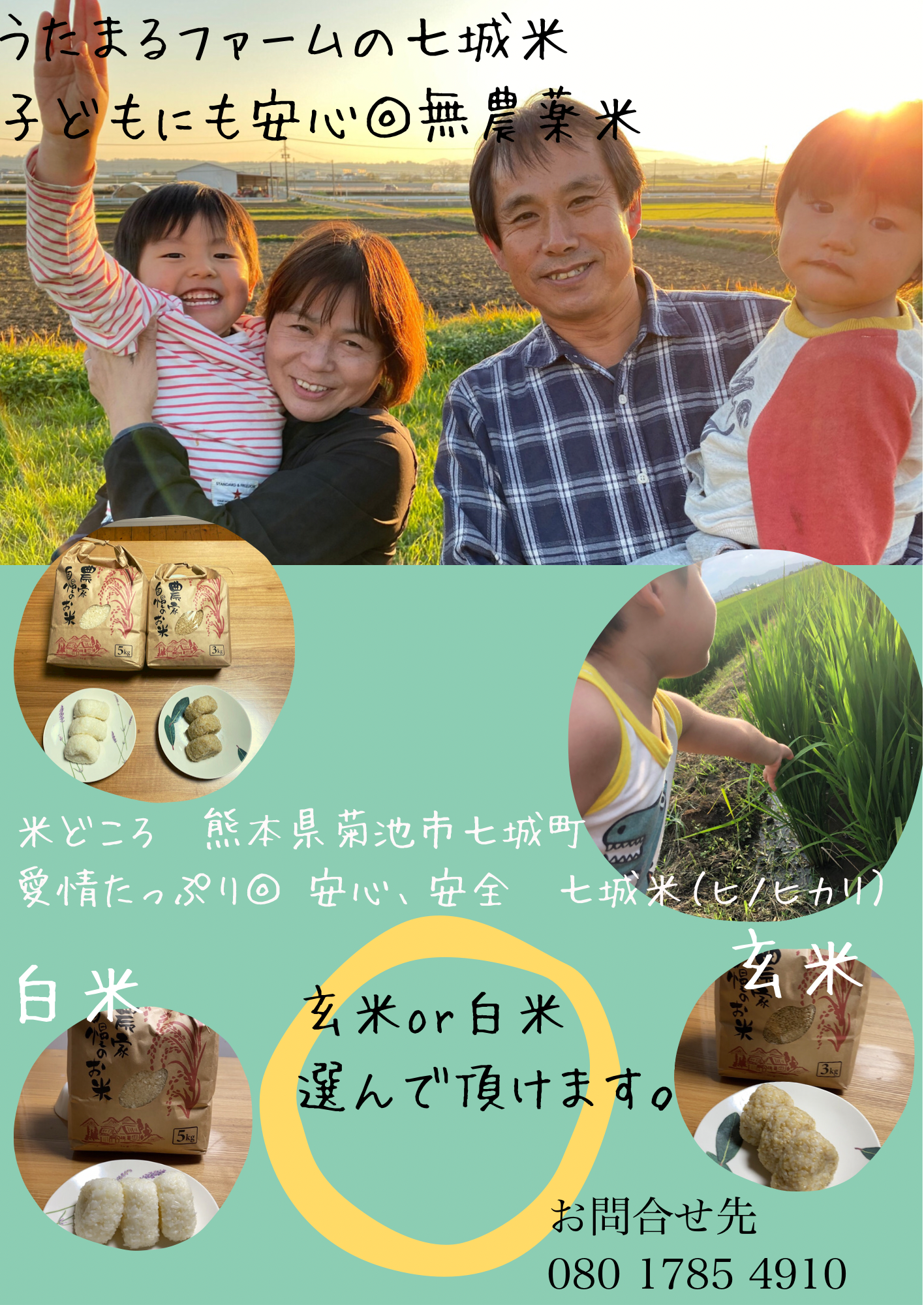 2021年製 熊本県産 令和4年新米100% 発芽玄米 2kg ヒノヒカリ
