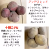 【お試し♡】新じゃがいも〈7種類から2種類〉と新たまねぎセット！