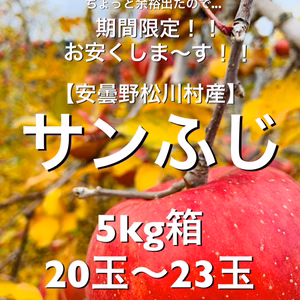 なくなり次第終了！激安！蜜入り良好！【安曇野松川村産】サンふじ5kg
