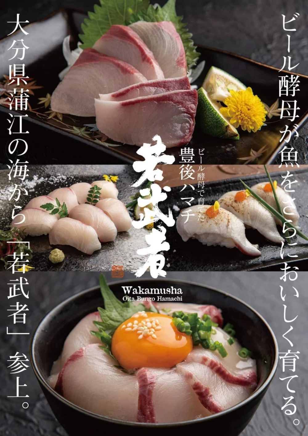 年末予約-ビール酵母で育てた豊後ハマチ-若武者【丸一本】