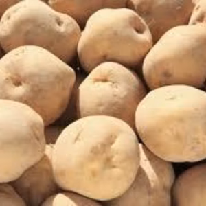 秋を楽しむセット！男爵1Ｋ＆四角豆500ｇ～農薬/化学肥料・不使用