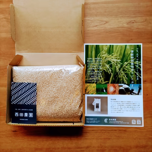 【5月発送分】一等米✨【送料無料】【無農薬 玄米2kg】コシヒカリ・令和６年産