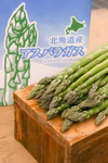 朝採れ！富良野産アスパラ　M−２Lサイズ