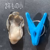【2年もの小】わたゆき牡蠣生も半生もサロマ湖湧別より