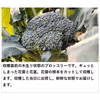 ブロッコリーの野菜セット（4種類以上）