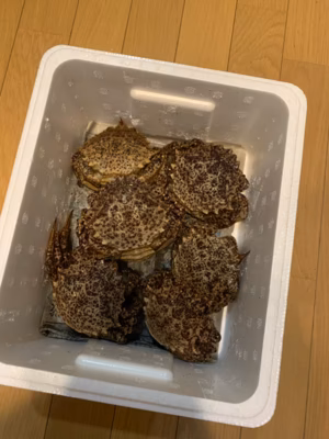 みんなの投稿の画像