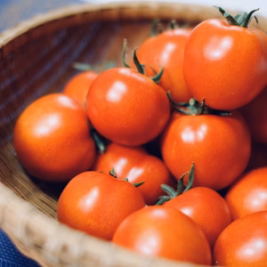 【朝採り】水切りトマト(ミディトマト：フルティカ)【循環型農業】