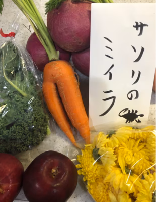 みんなの投稿の画像