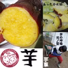 【お試】さつまいも大好きすぎて、さつまいも農家になりました　紅はるか　サツマイモ