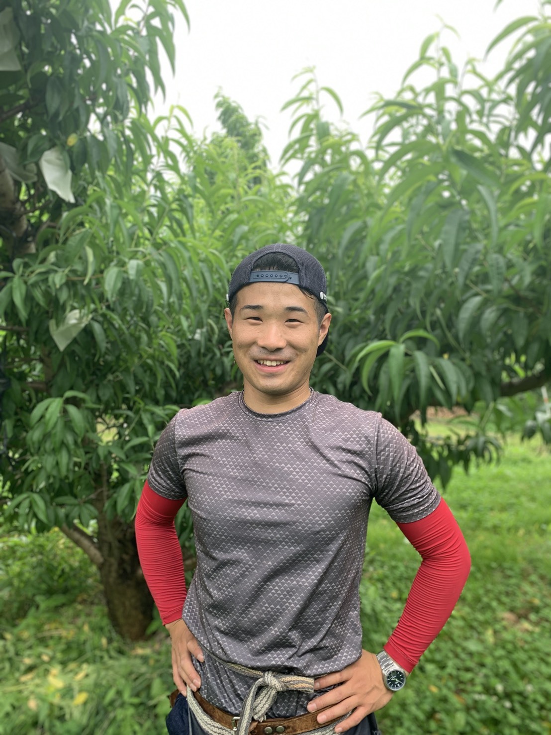 北海道 富良野メロン高級 赤肉 6-7玉×2箱有機肥料 超減農薬8kg超