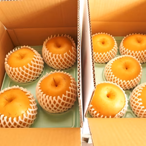 ラスト１箱　B-N3 [自家用] 大きい！「新高」3Kg (4玉)