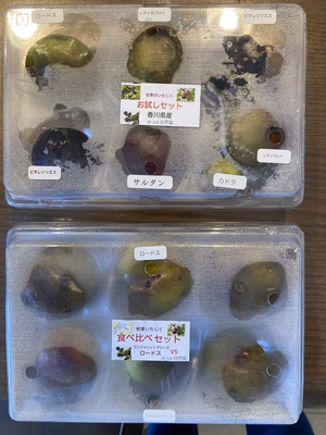 みんなの投稿の画像