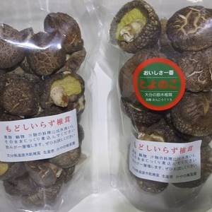 【5周年福袋】山の産物（戻しいらずの乾椎茸肉厚どんこと小粒の２点セット　大分産）