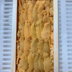 《冬季限定》SDGs？！旨味溢れる濃厚蓄養うに‼︎お得な２枚セット‼︎