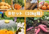 【先行予約限定】秋の味覚★北海道野菜まんぷくセット【10月発送】