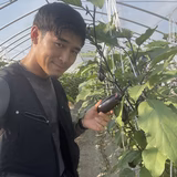 谷 駿耶 | 芳薫園