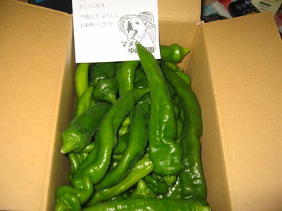 みんなの投稿の画像