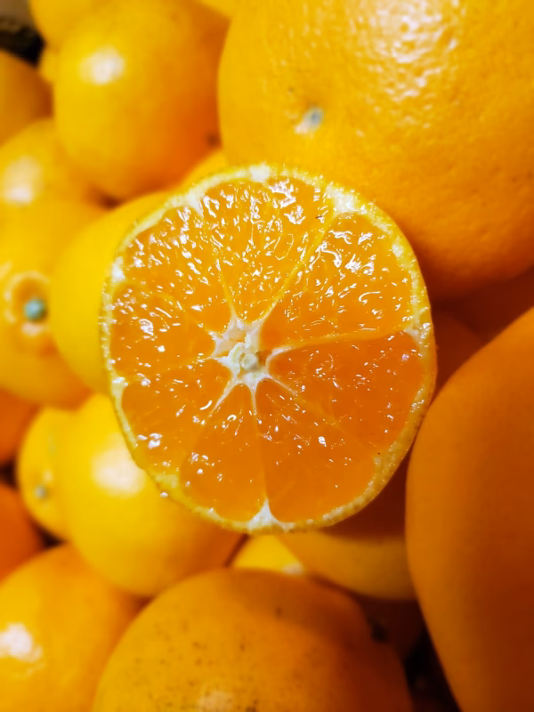 はるみ　４㌔　おまけつき