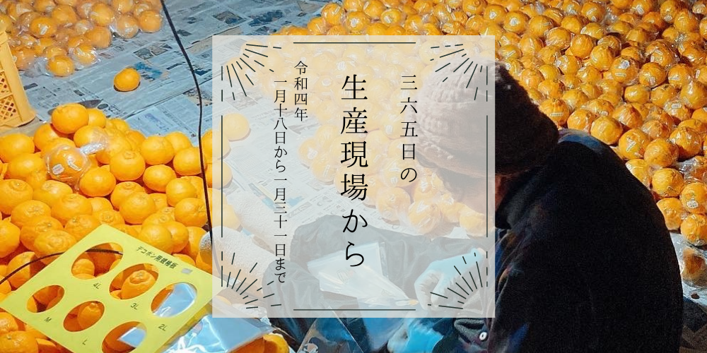 1月18〜31日の生産現場から、寒中の34投稿！ | 農家漁師から産地直送の