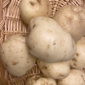 新ジャガイモ　男爵　4kg