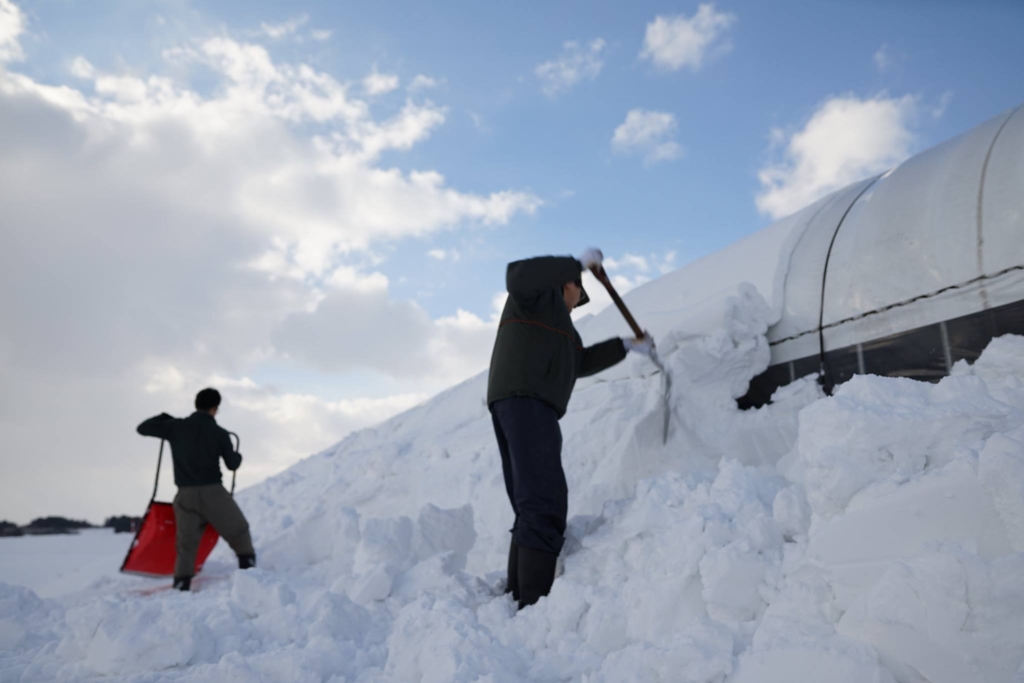 16252190_1237208382983220_8417240173625291698_o