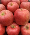 収穫後すぐに発送！夏りんご「シナノレッド」8月18日～25日発送商品