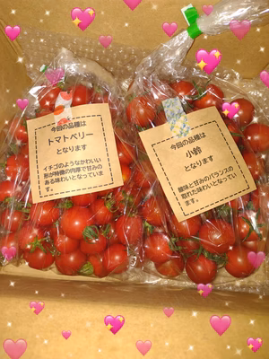 みんなの投稿の画像