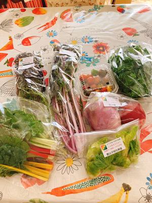 みんなの投稿の画像