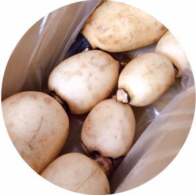 みんなの投稿の画像