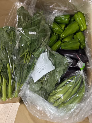 みんなの投稿の画像