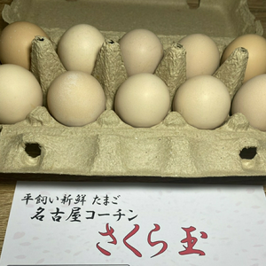 卵かけご飯に最高！平飼い 名古屋コーチン さくら玉【40個】】