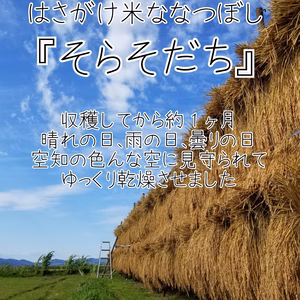 【令和2年新米】北海道産天日干しはさがけ米「そらそだち」