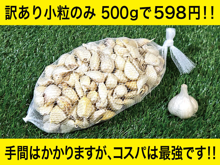 【数量限定特別セール中！】令和５年新物 青森県産にんにく最高級