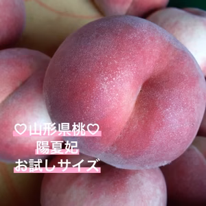 お試しサイズ♡ピーチ姫♡陽夏妃♡山形県産もも♡桃