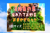 淡路島の恵おまかせセット100サイズ(常温便)